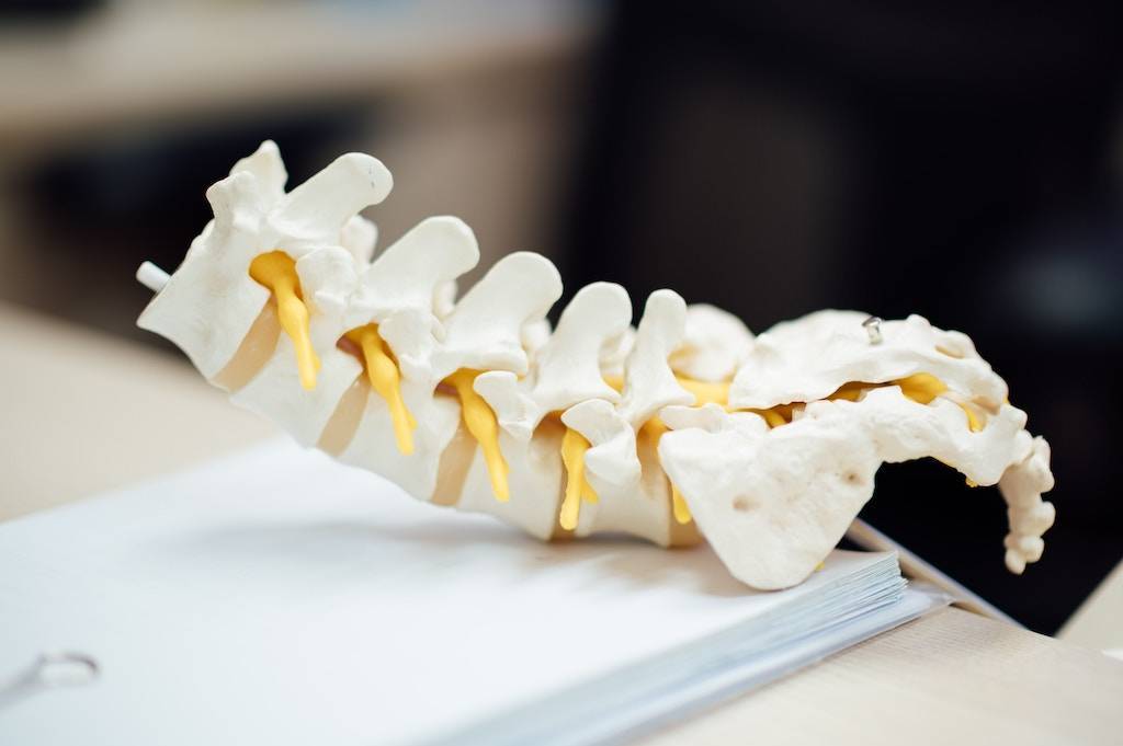 Do Chiropractors Accept Insurance