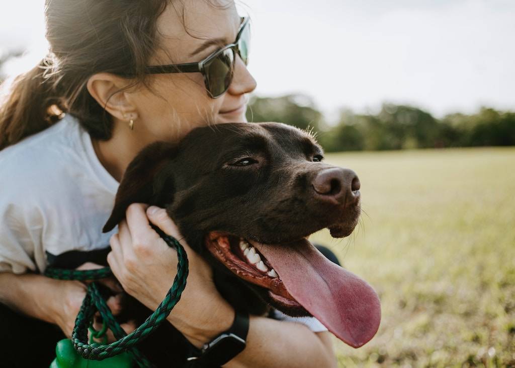 Understanding the Importance of Pet Insurance